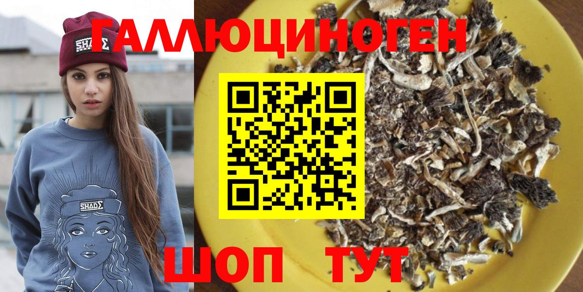 Галлюциногенные грибы Magic Shrooms  Вход с VPN  Будённовск  где купить наркоту  Галлюциногенные грибы Psilocybine cubensis 