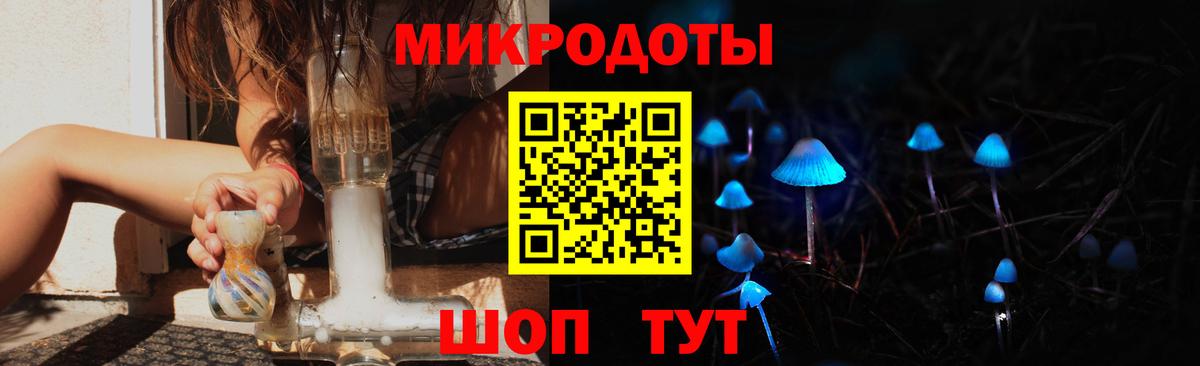 Псилоцибиновые грибы мицелий Будённовск